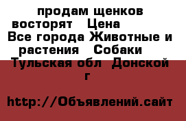 продам щенков восторят › Цена ­ 7 000 - Все города Животные и растения » Собаки   . Тульская обл.,Донской г.